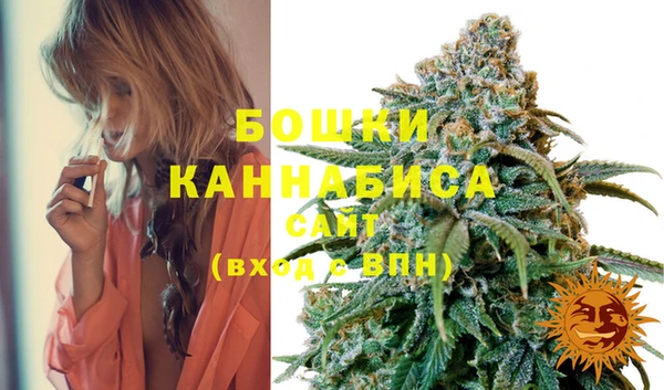 дживик Дмитриев