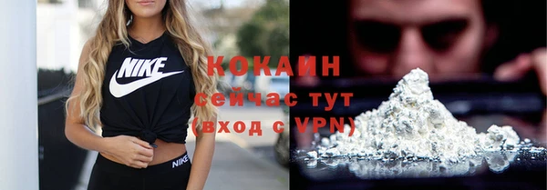 дживик Дмитриев