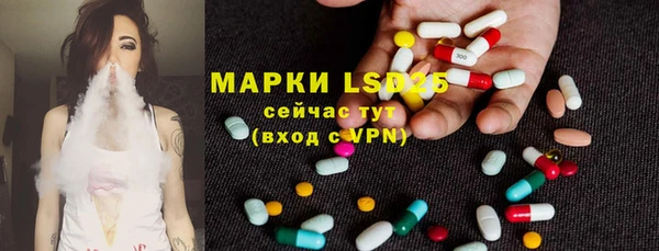 винт Магас